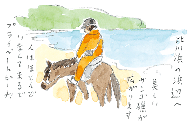 第3回  ヨナグニウマで島を満喫 - 2/3
