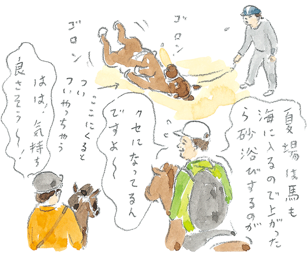 第3回  ヨナグニウマで島を満喫 - 1/3