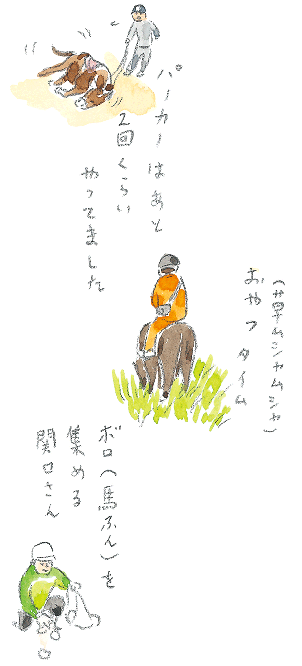第3回  ヨナグニウマで島を満喫 - 2/3