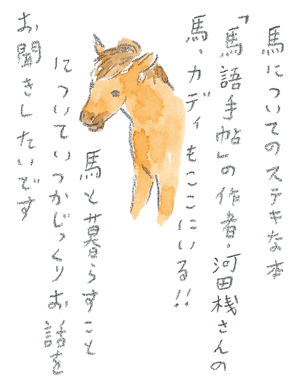 第3回  ヨナグニウマで島を満喫 - 3/3