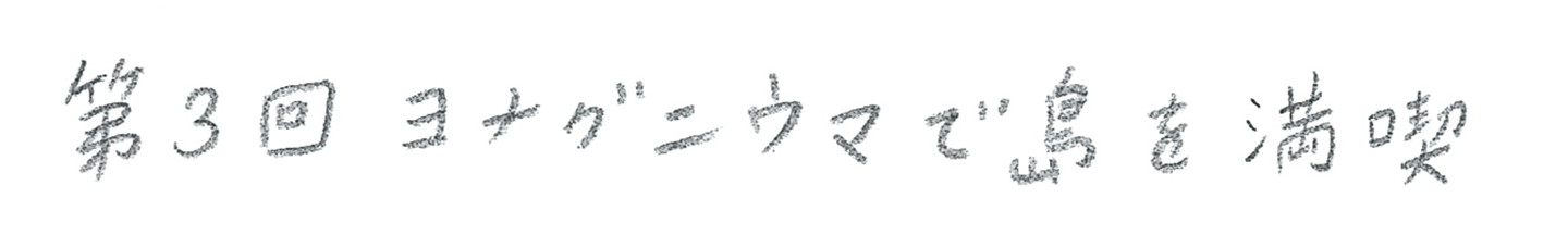 第3回  ヨナグニウマで島を満喫