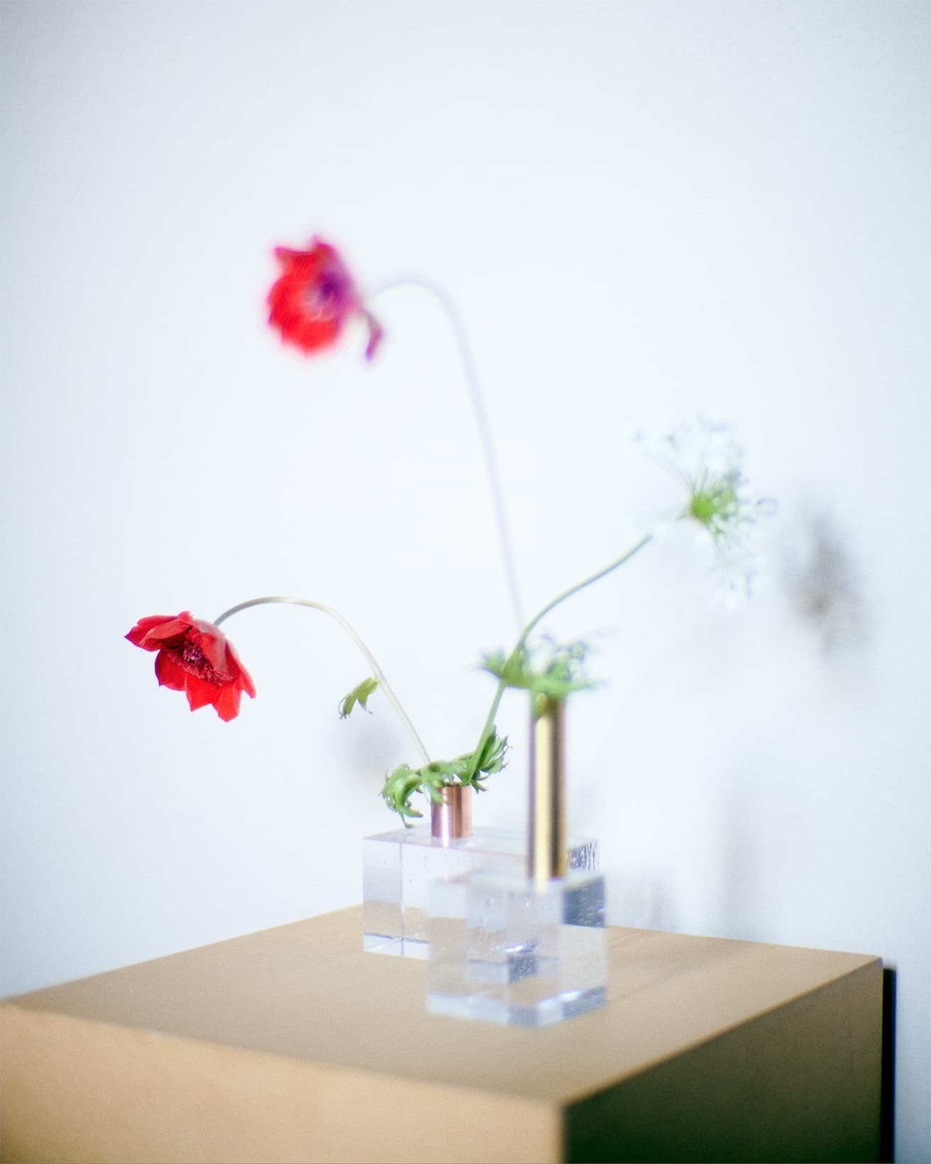 【今週の花と器】アネモネと〈バイバ グラス〉の《セレスティカル》シリーズ｜3月
