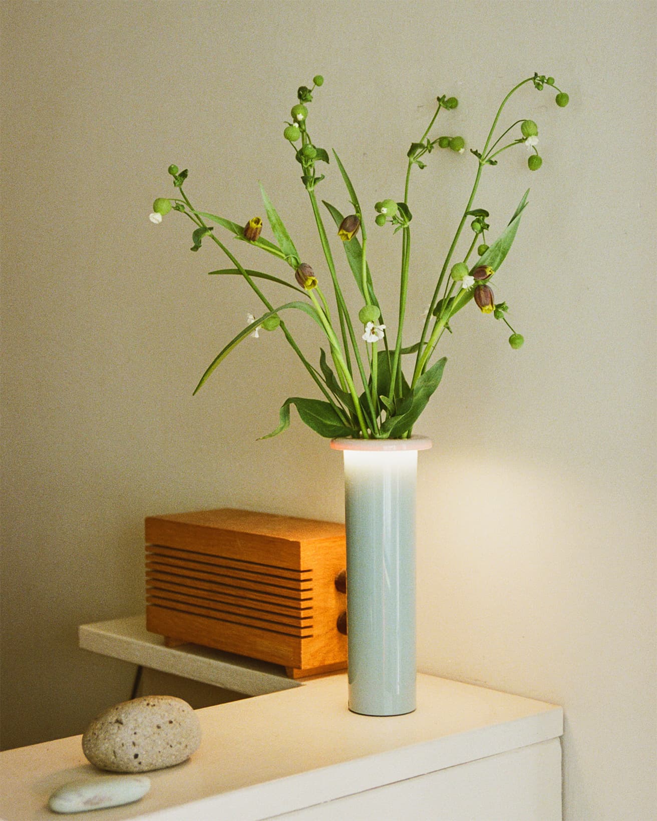【今週の花と器】グリーンベルと〈マジス〉の《ブーケ》｜4月