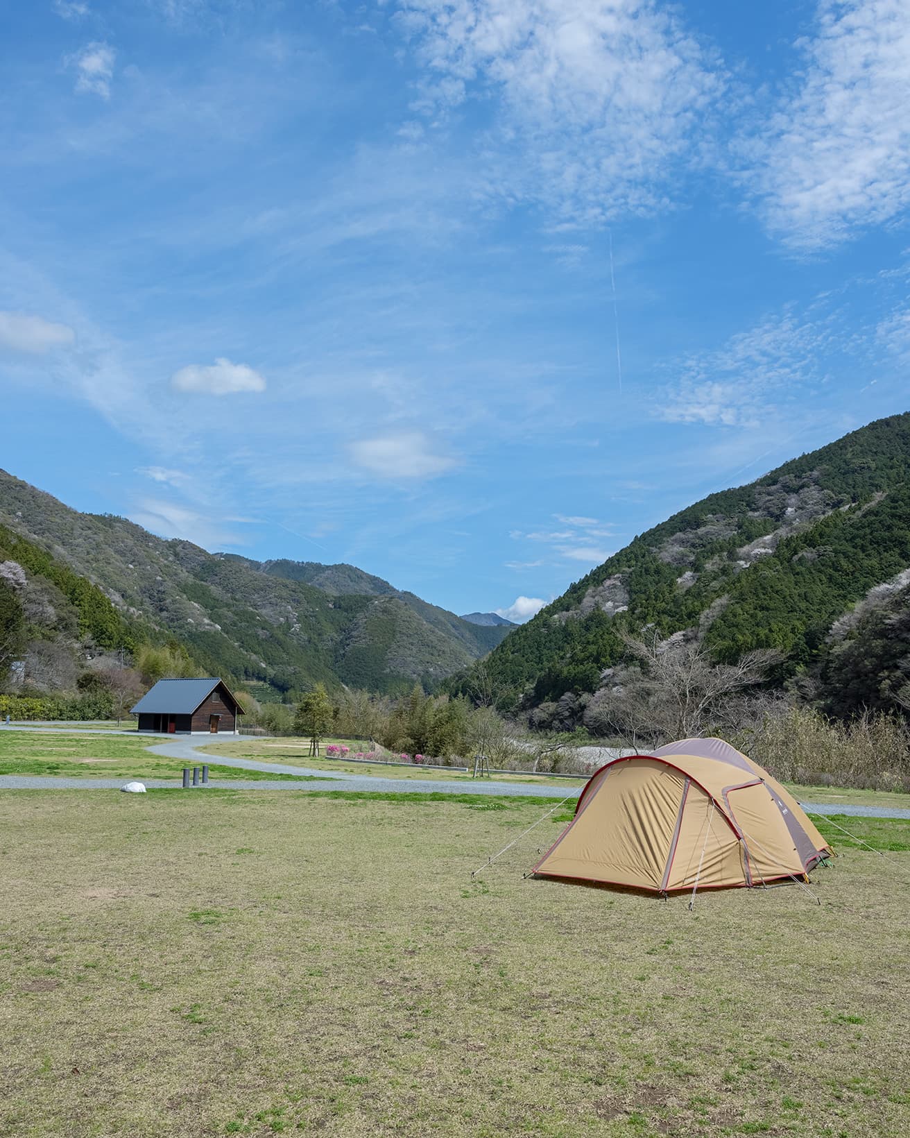 仁淀川の川沿いに造成された芝生のオートキャンプサイトは30区画。photo_Norio Kidera