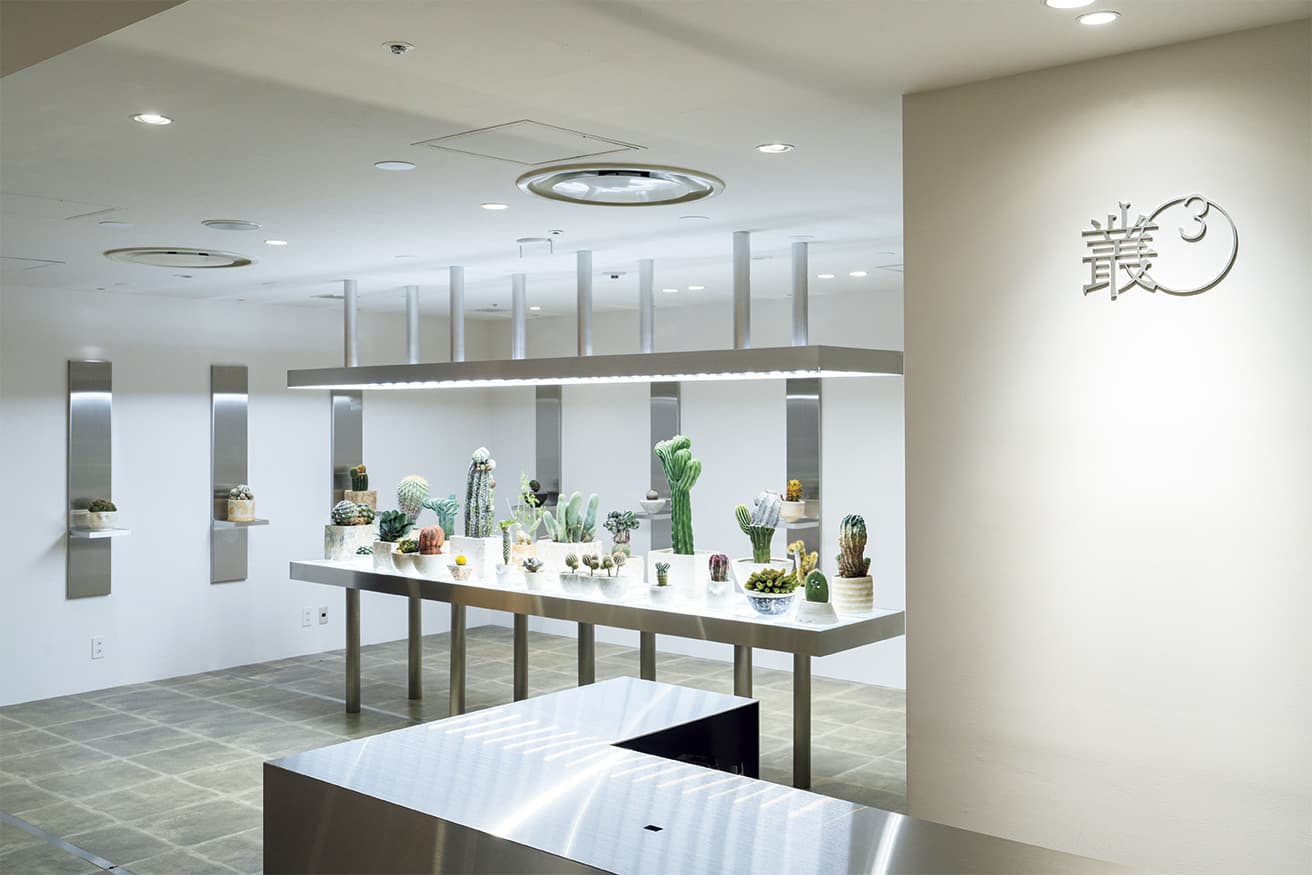 店内には自然物である植物と対比させるため直線をあえて多用。