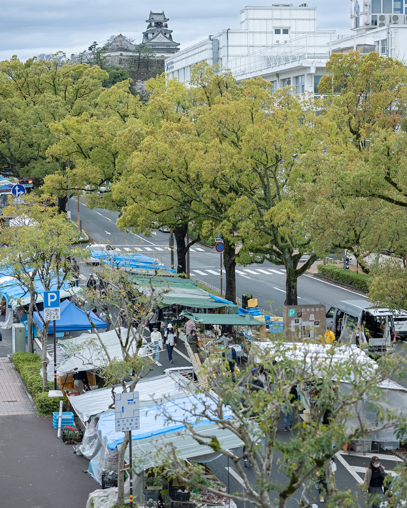 毎週日曜日に市の中心を貫く通り、追手筋で開催される日曜市。全長は約1kmにもおよぶ。追手筋は高知城のお膝元。高知市の中心に位置するので、まずはここから観光を始めるのもおすすめ。