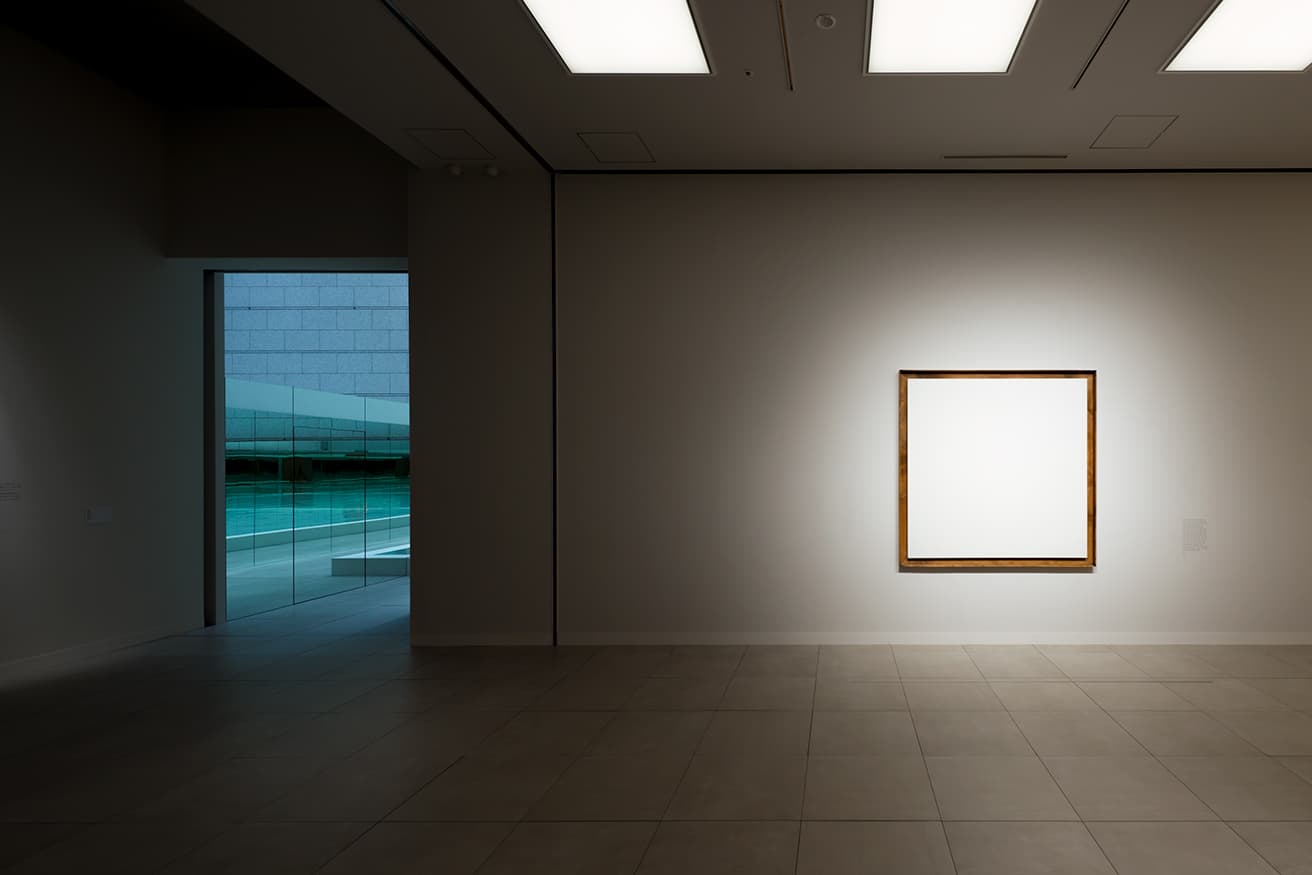 左《Critical》2021, 右《White Painting series》2017, Canvas, 160×160cm, Private collection, Museum Of Contemporary Art Tokyo
Photo: Keizo Kioku Courtesy of the artist © 2021 Eugene Kangawa
