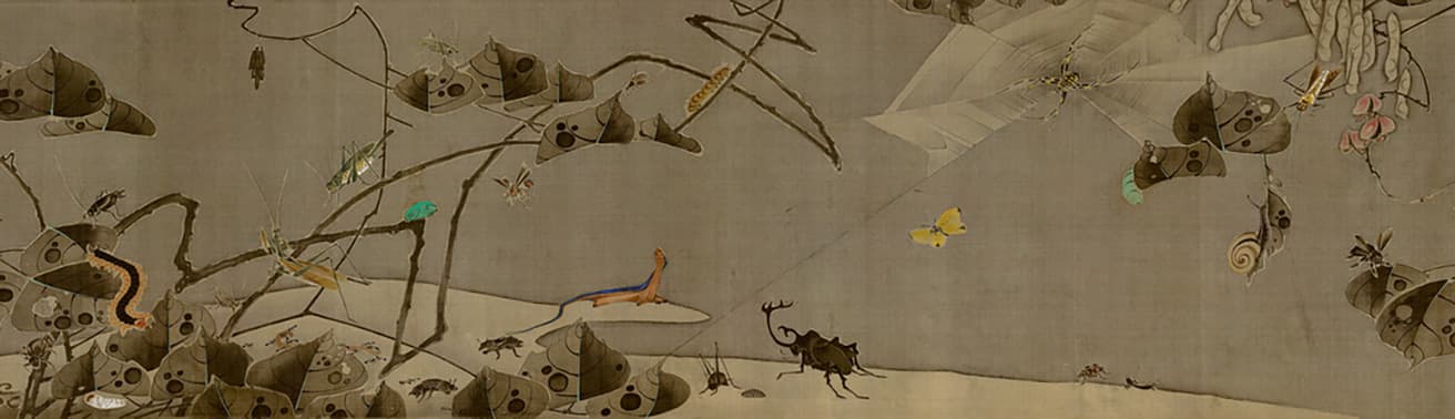 重要文化財　伊藤若冲《菜蟲譜》（部分）　一巻　寛政2年（1790）頃　佐野市立吉澤記念美術館　【展示期間：8月9日～9月18日】（場面替えあり）