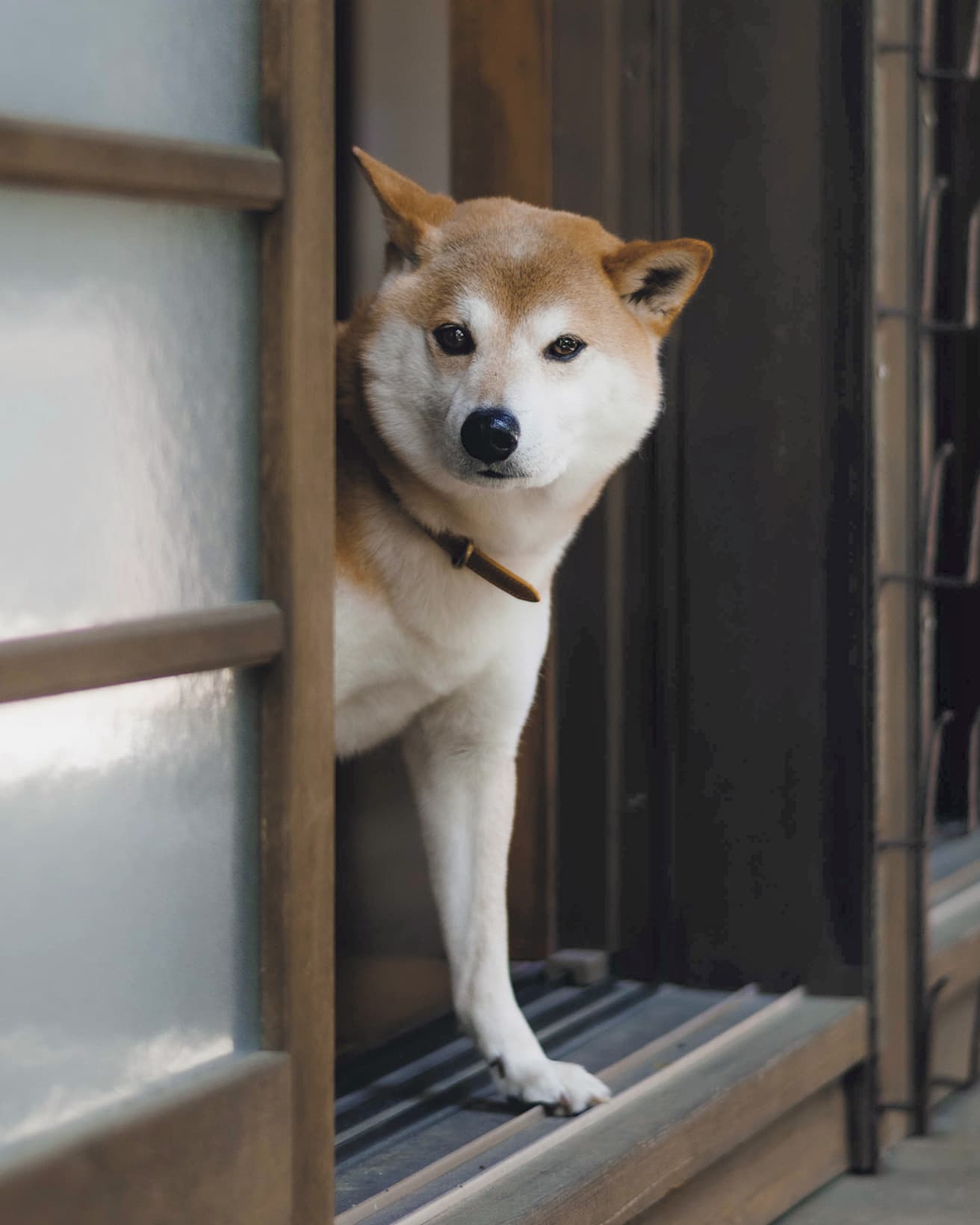 宿坊の縁側からお出迎え。