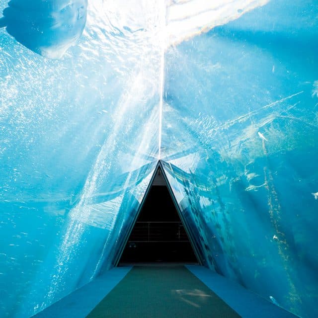 BEST Zoo &amp; Aquarium