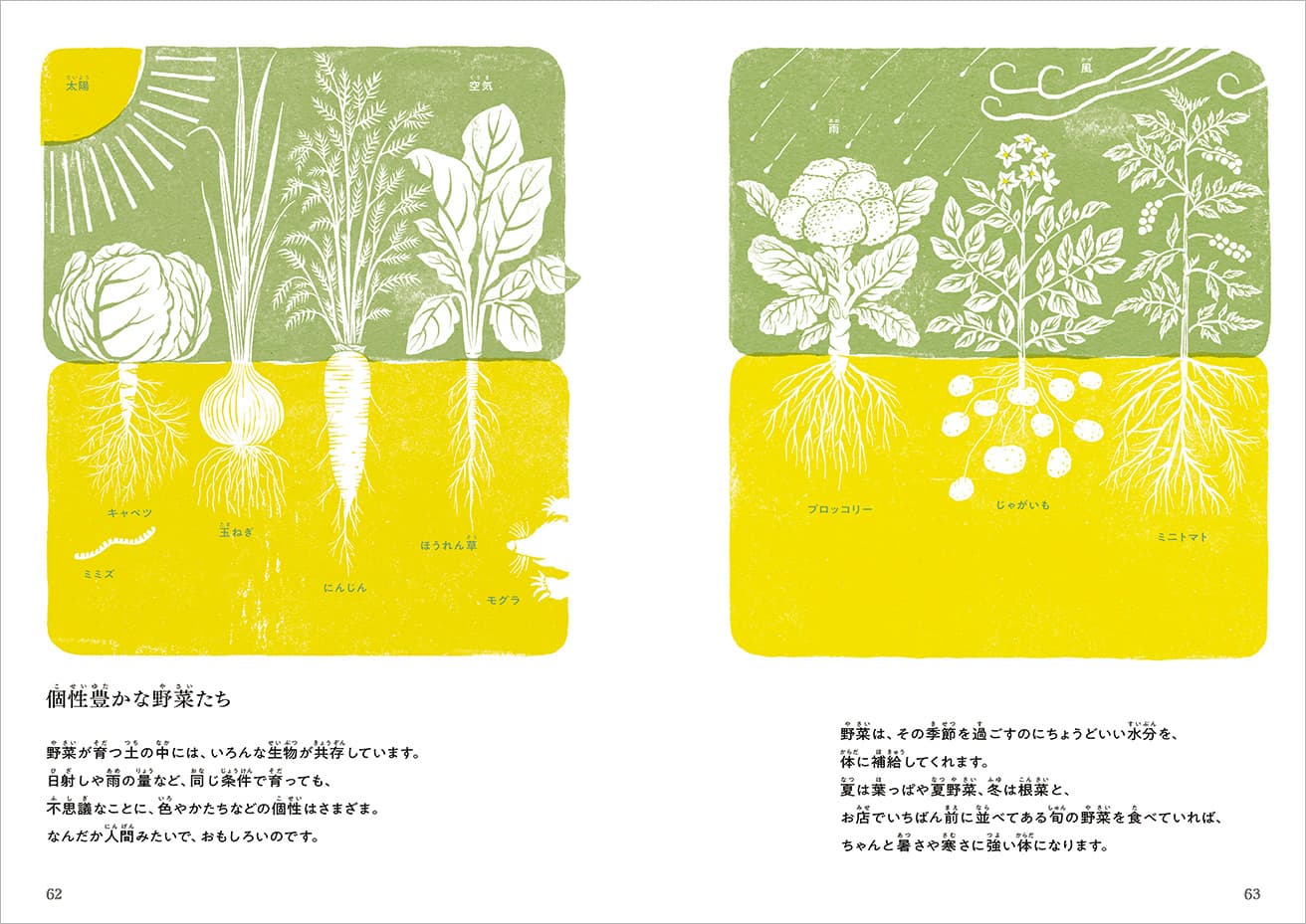 野菜にまつわるコラムページ。個性豊かな野菜は「なんだか人間みたいで、おもしろいのです」（野村）。