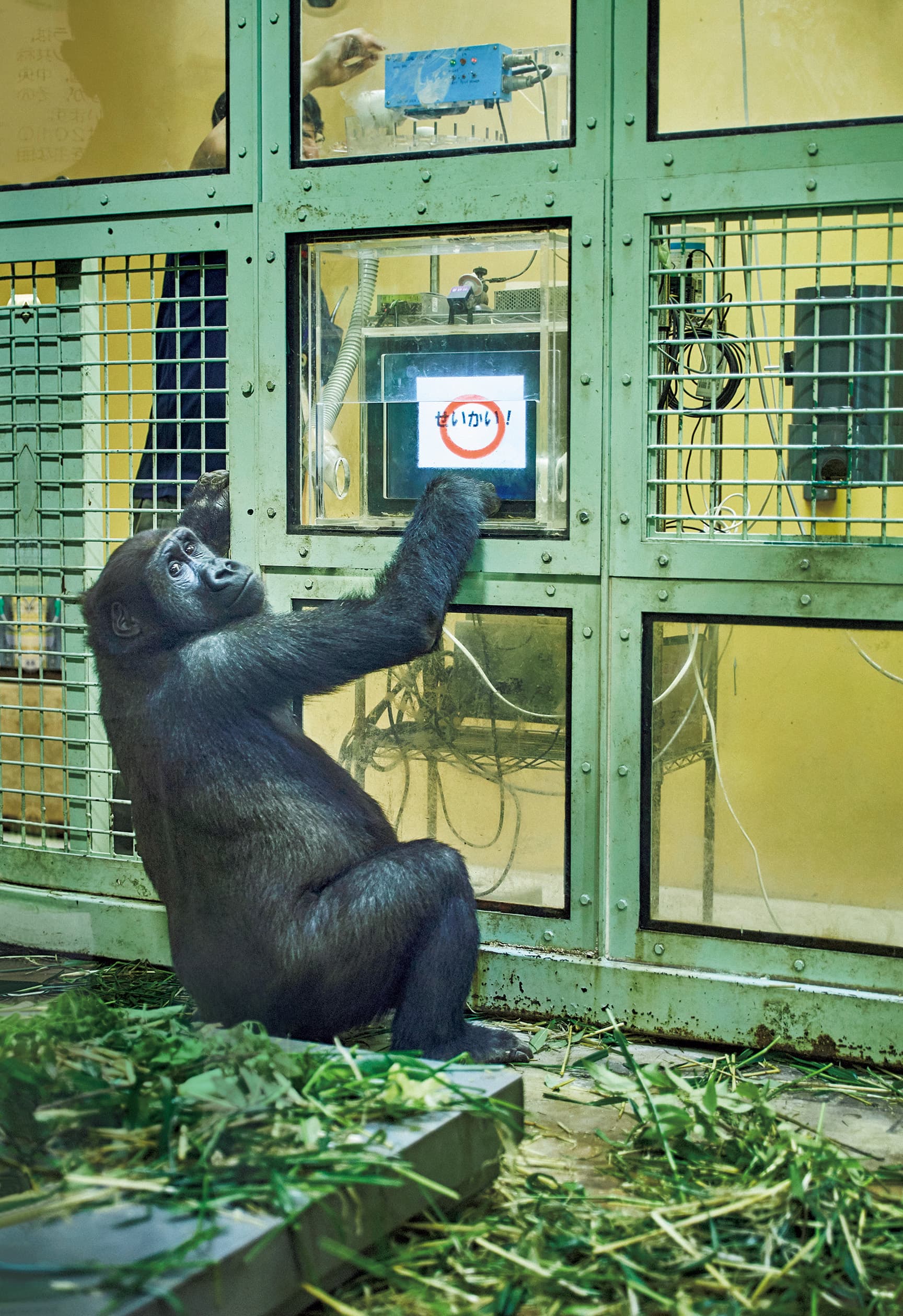 京都市動物園