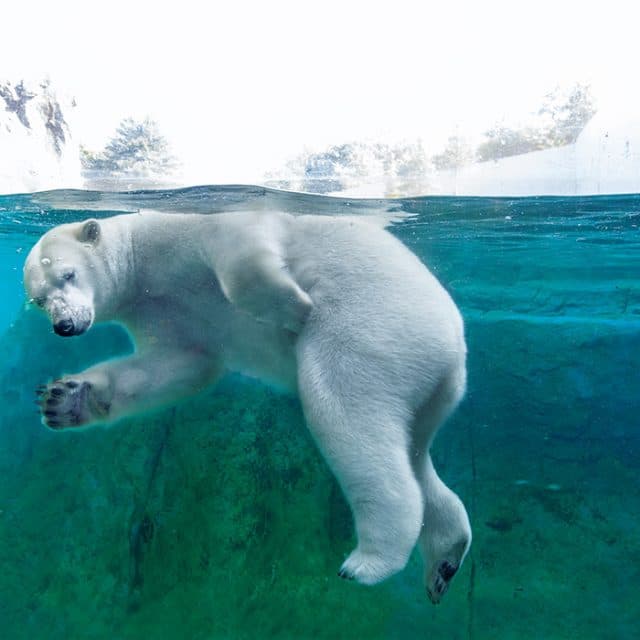 BEST Zoo &amp; Aquarium