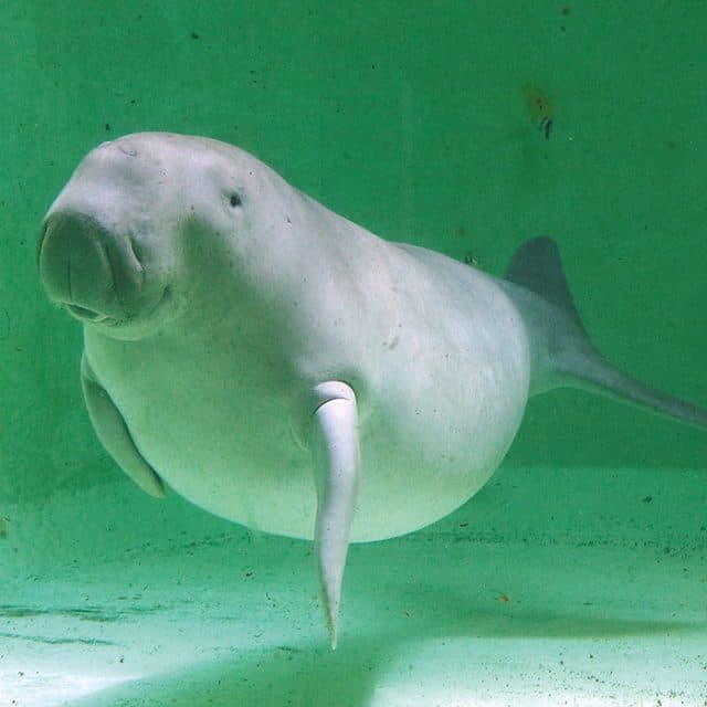 BEST Zoo &amp; Aquarium