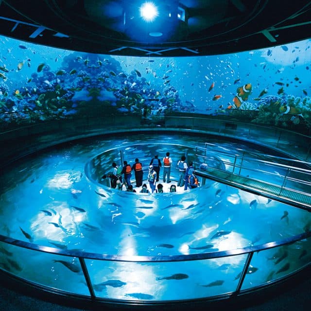 BEST Zoo &amp; Aquarium