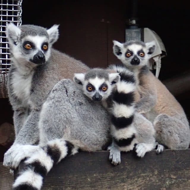 BEST Zoo &amp; Aquarium