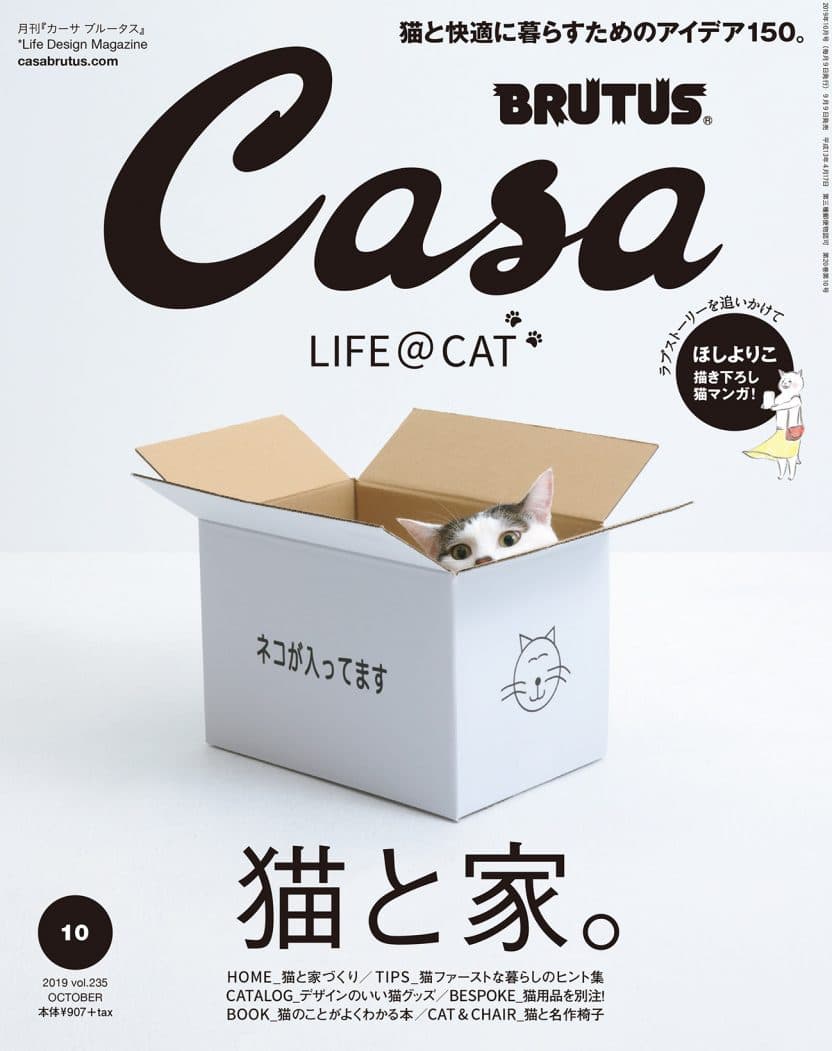 猫と家。
