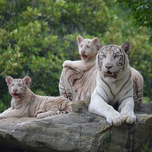 BEST Zoo &amp; Aquarium