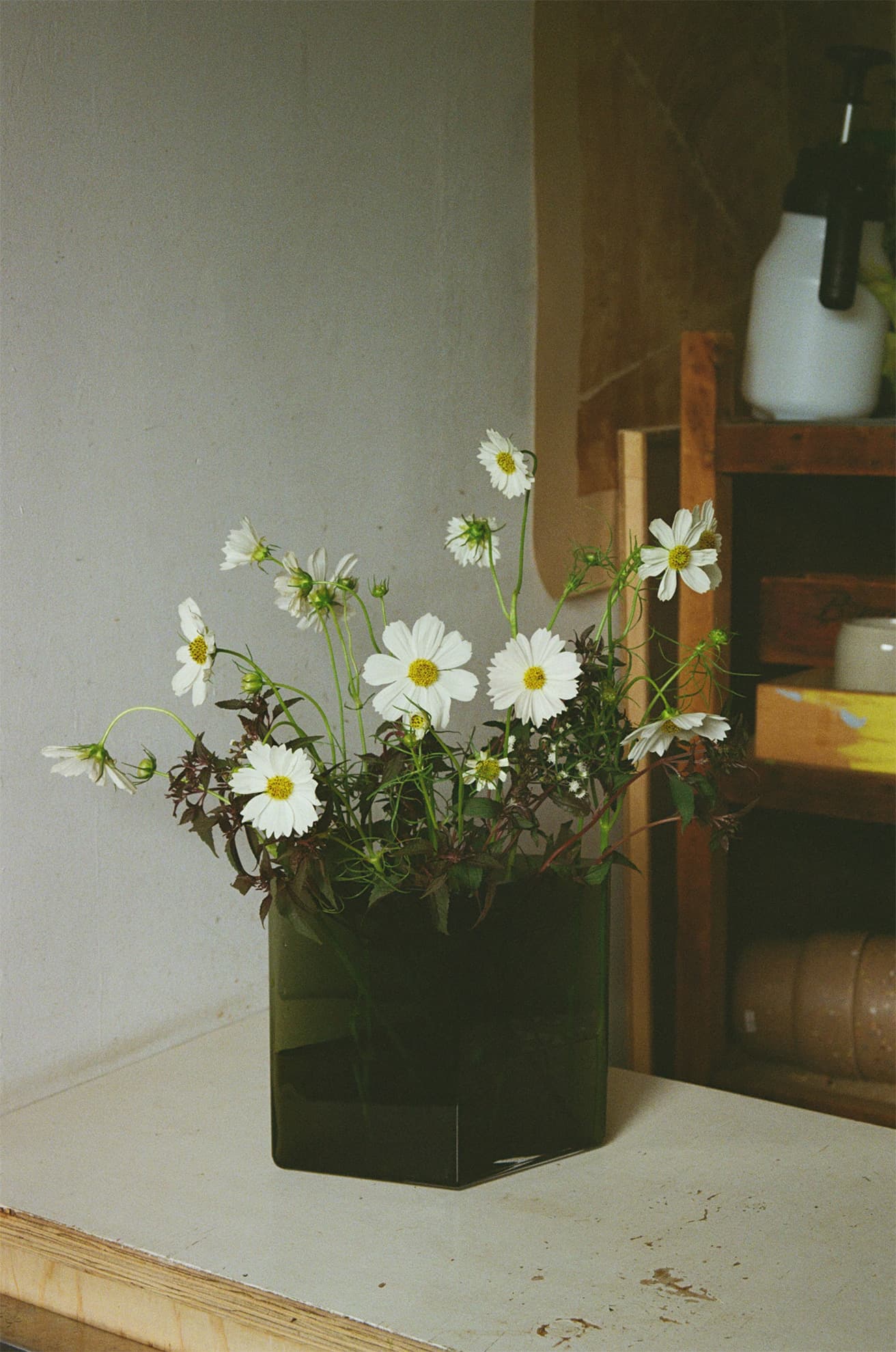 【今週の花と器】コスモスと〈イッタラ〉の《ルーツ ベース》｜10月