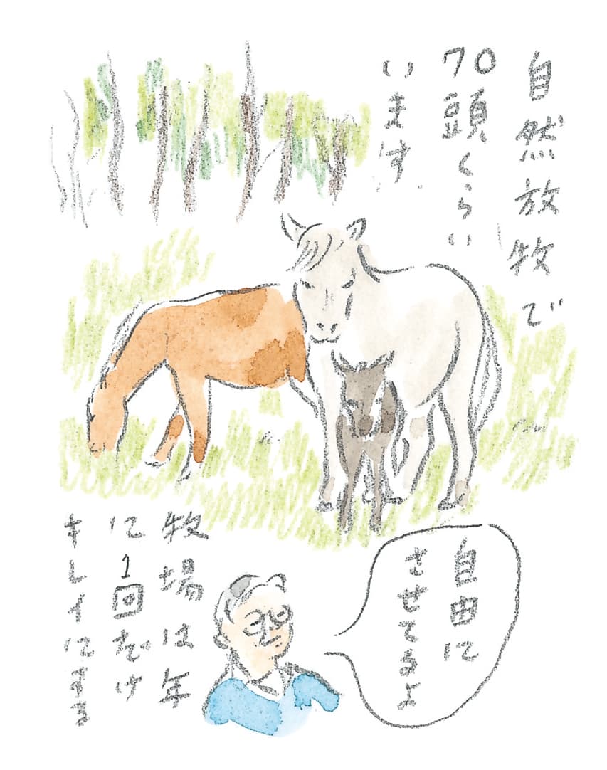 第10回 十勝の馬天国 - 3/3