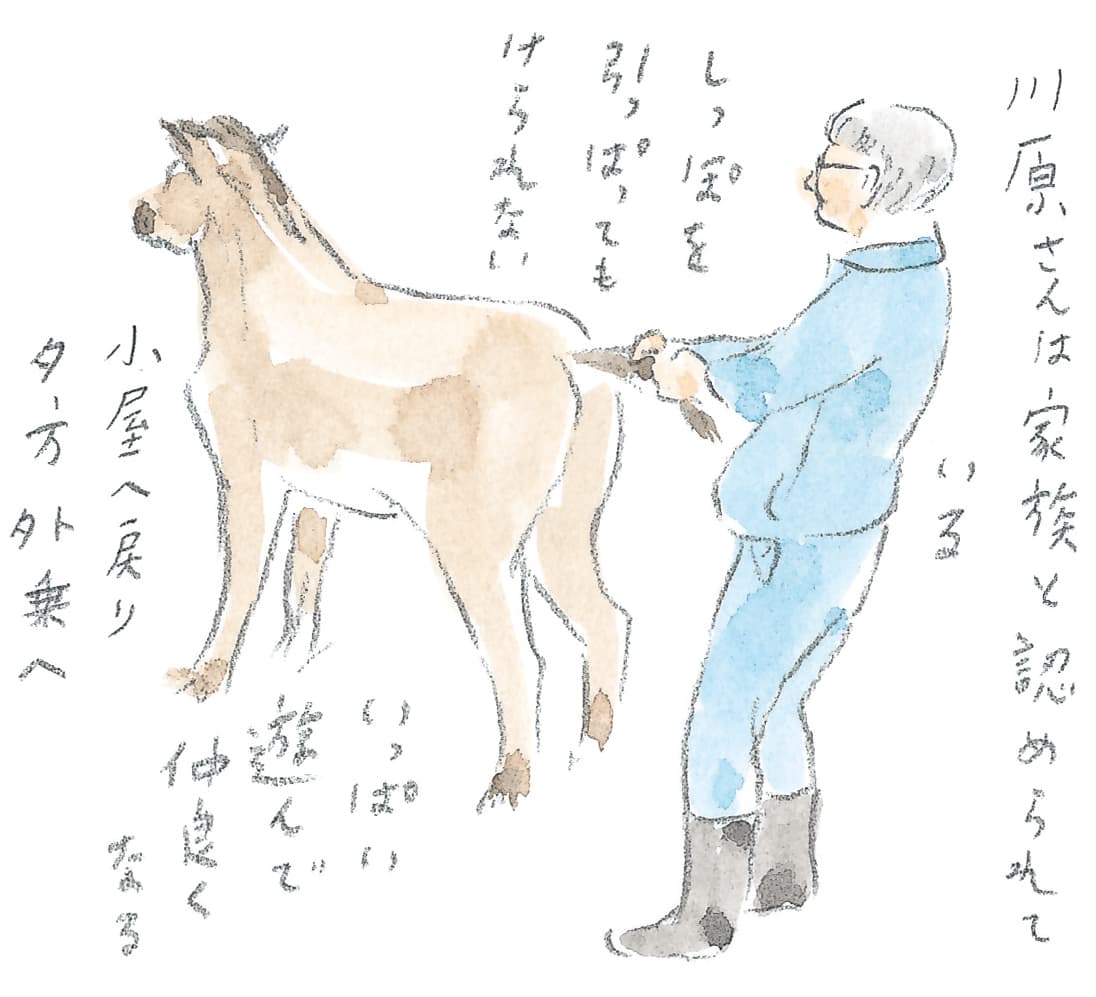 第10回 十勝の馬天国 - 1/3