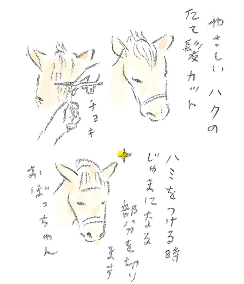 第10回 十勝の馬天国 - 3/3