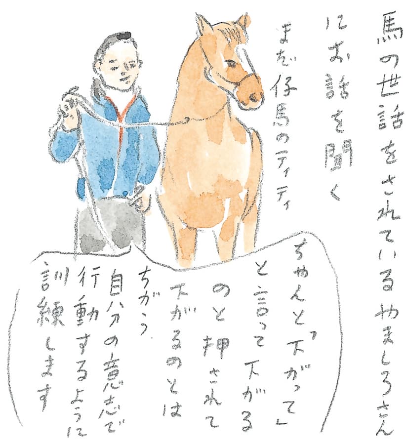 第10回 十勝の馬天国 - 2/3