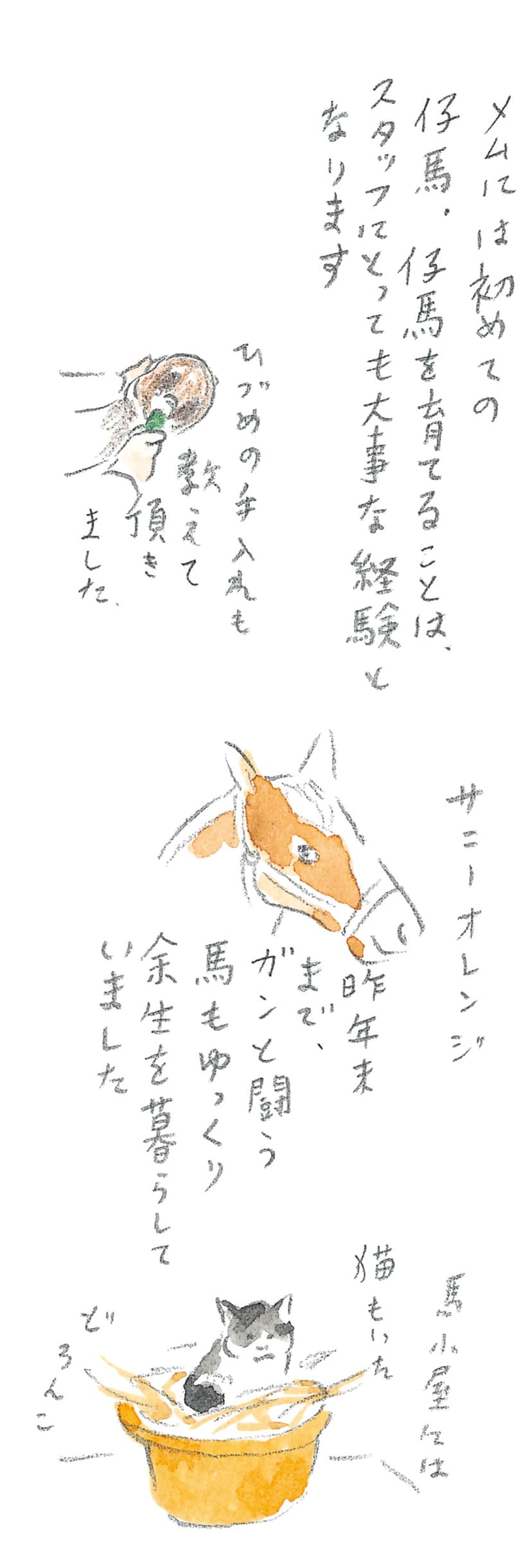 第10回 十勝の馬天国 - 3/3