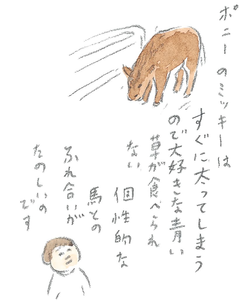 第10回 十勝の馬天国 - 1/3