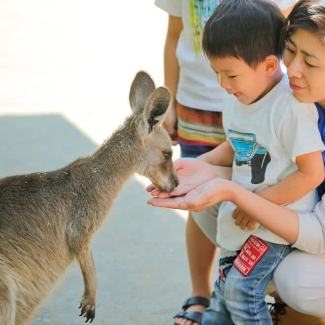 BEST Zoo &amp; Aquarium