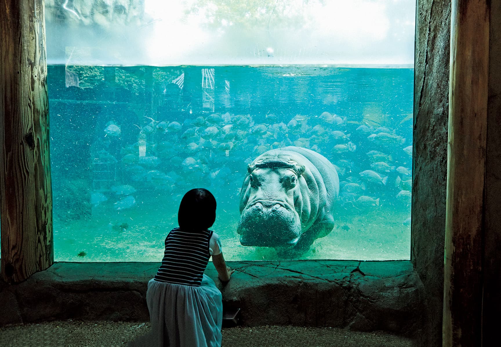 天王寺動物園