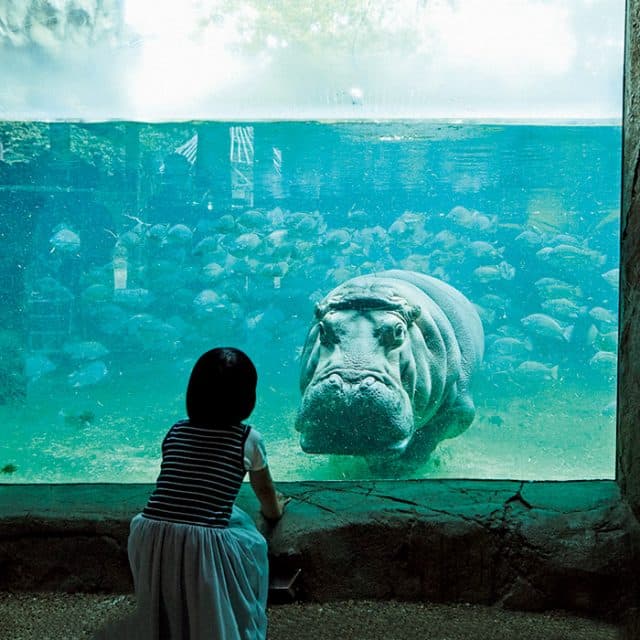 BEST Zoo &amp; Aquarium