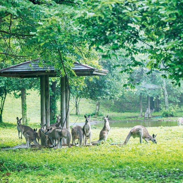 BEST Zoo &amp; Aquarium