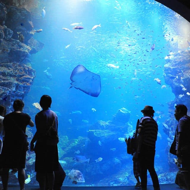BEST Zoo &amp; Aquarium