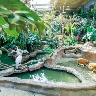 那須どうぶつ王国