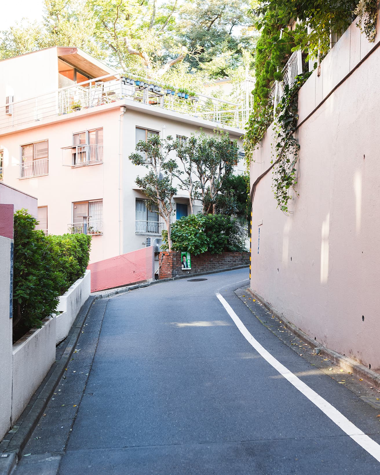 〈本氷川坂〉はS字形に湾曲している。