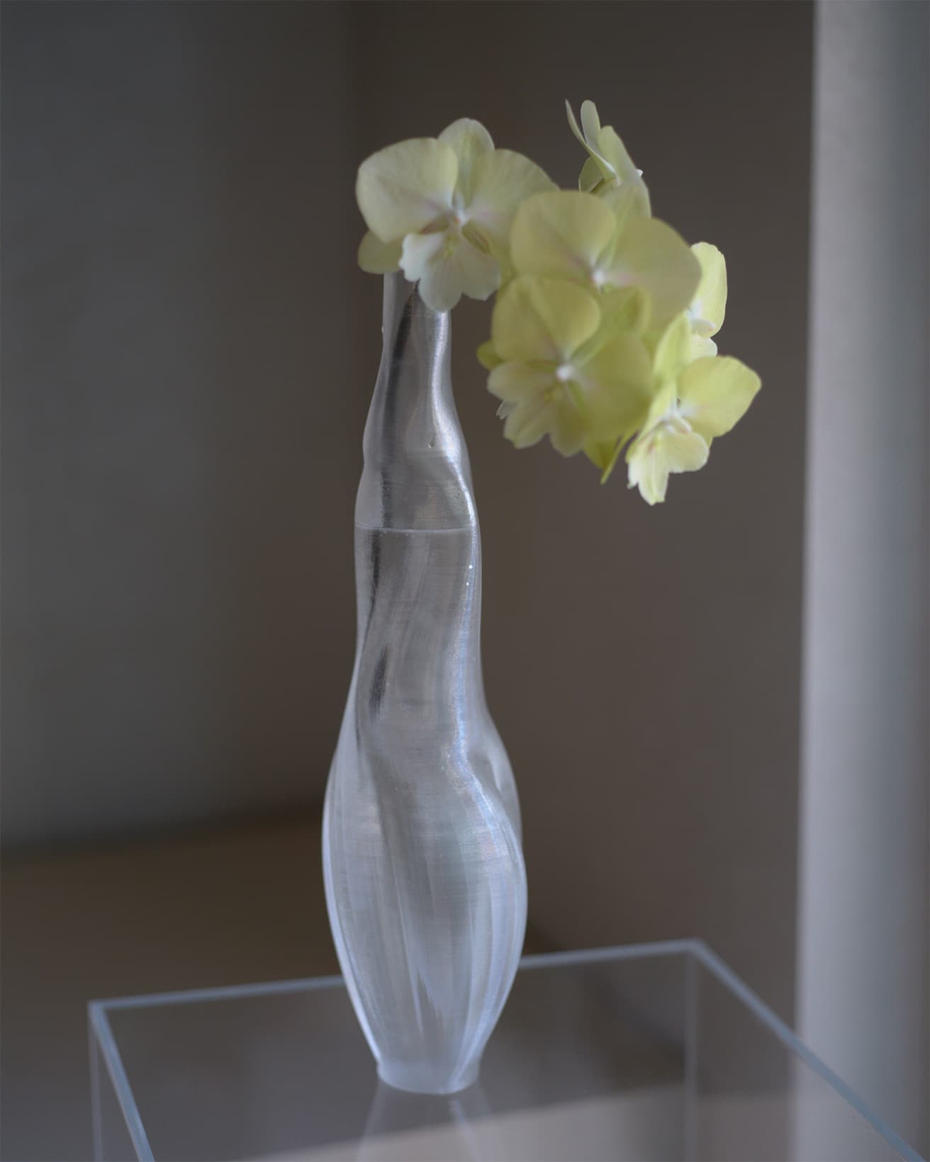 【今週の花と器】胡蝶蘭と〈アルゴ スタジオ〉の《エソン ヴェッセル》｜12月