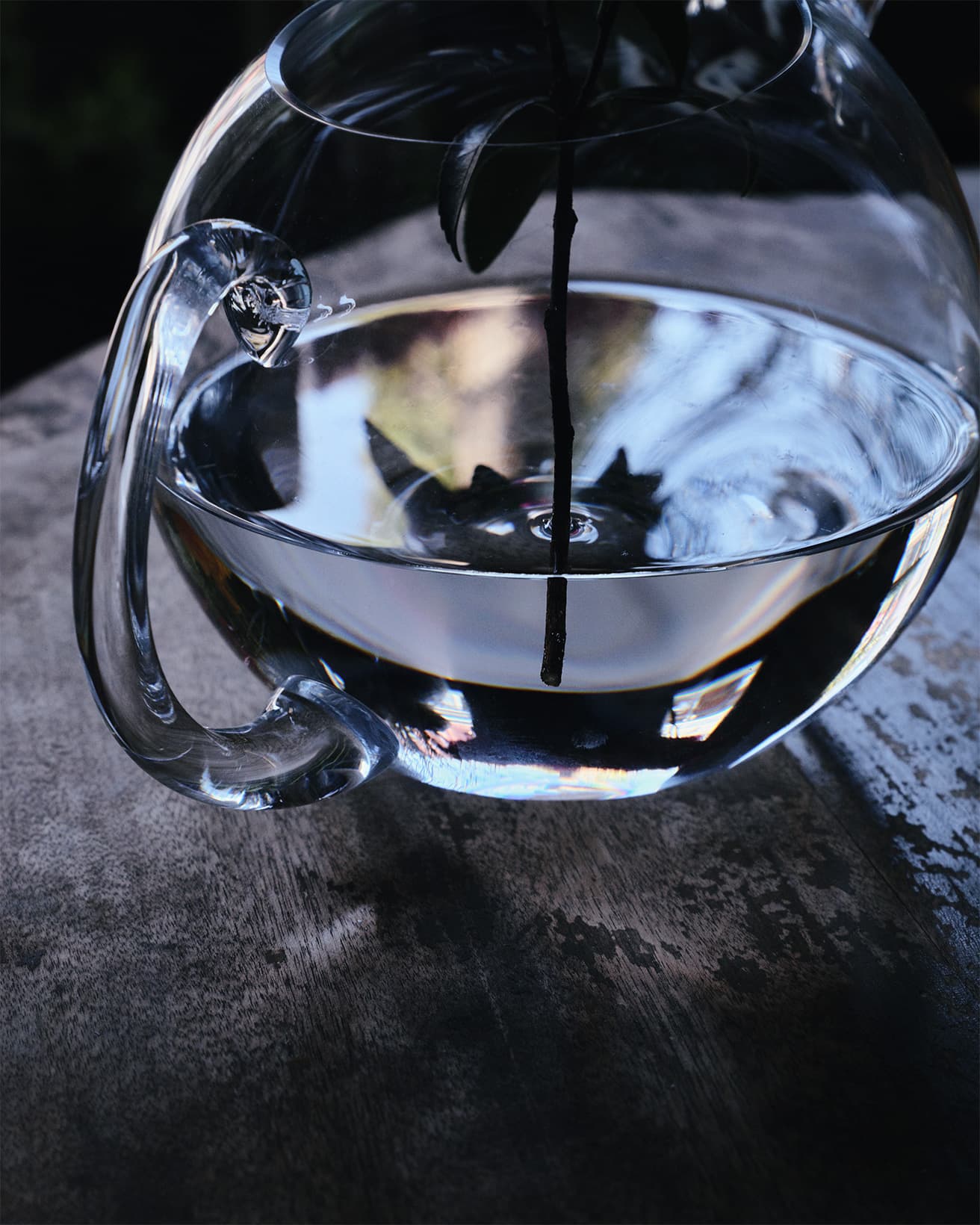 水に付く位置にある葉は落とす。茎の表情まで見せられるのは、ガラスの器だからこそ。
