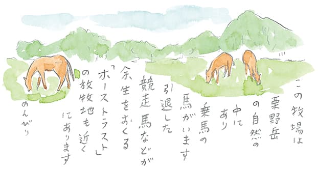第4回 霧島で引退馬に出会う - 1/3