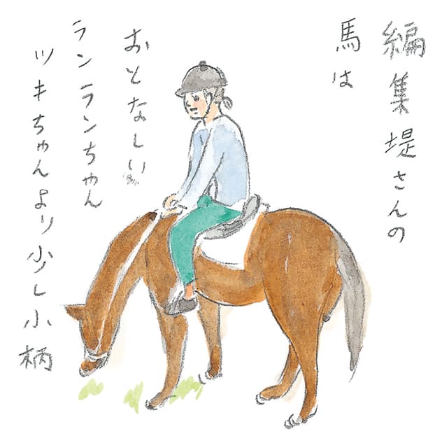 第4回 霧島で引退馬に出会う - 1/3