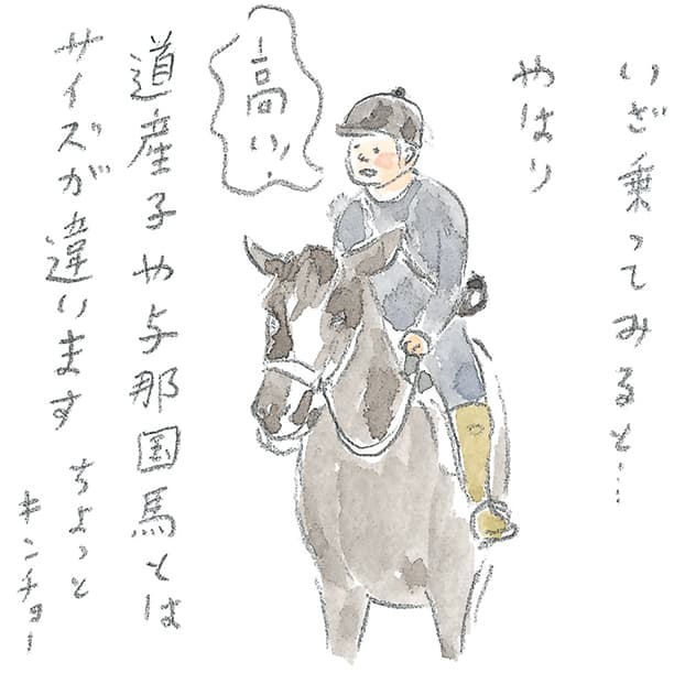 第4回 霧島で引退馬に出会う - 2/3