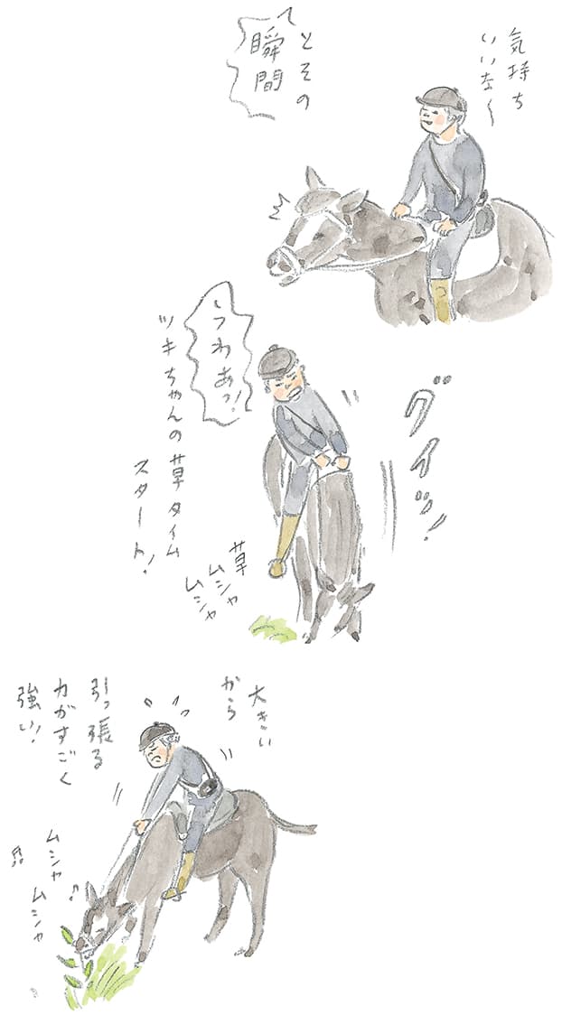 第4回 霧島で引退馬に出会う - 1/3