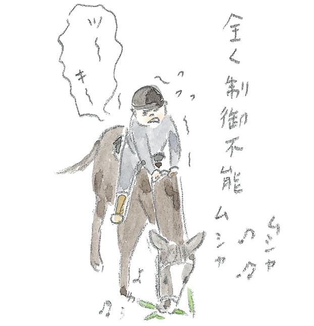第4回 霧島で引退馬に出会う - 3/3