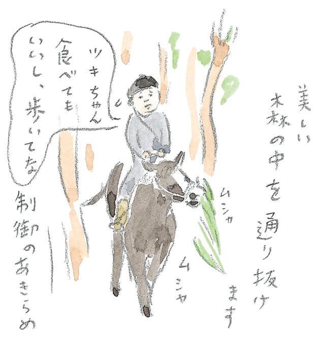 第4回 霧島で引退馬に出会う - 3/3