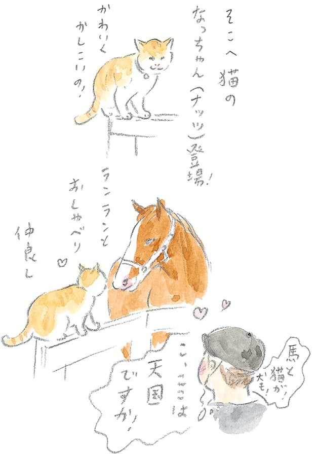 第4回 霧島で引退馬に出会う - 3/3