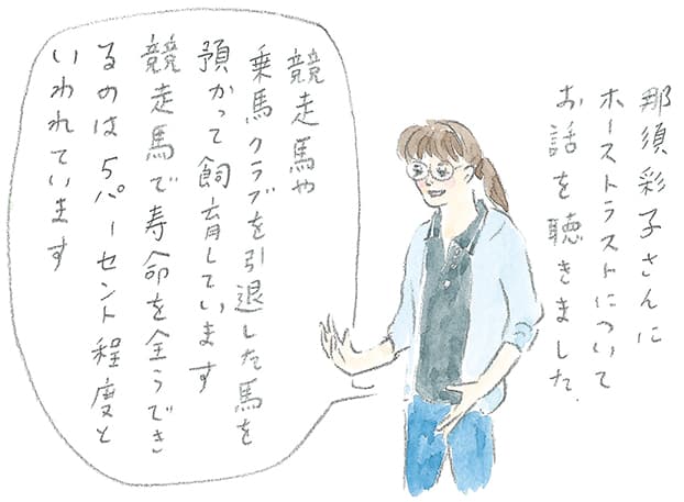 第4回 霧島で引退馬に出会う - 1/3