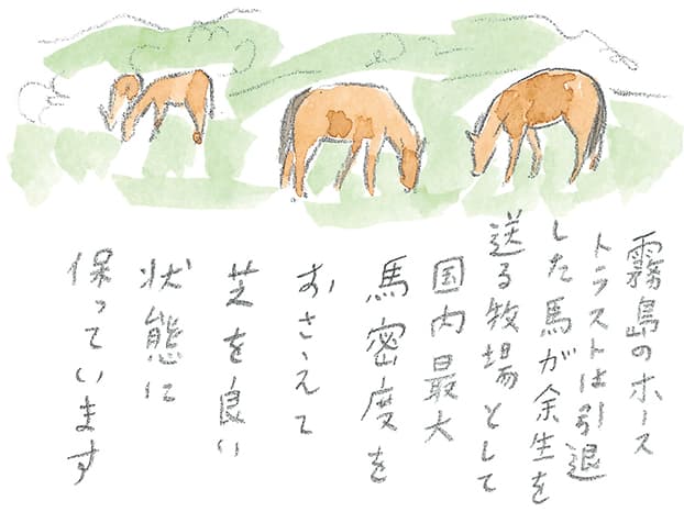 第4回 霧島で引退馬に出会う - 2/3