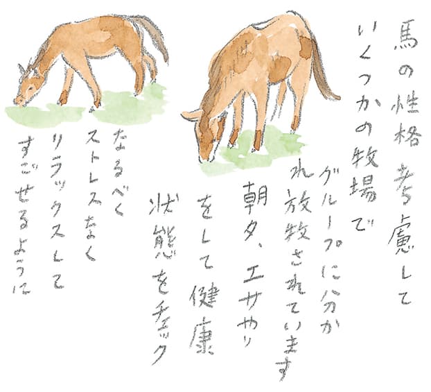 第4回 霧島で引退馬に出会う - 3/3