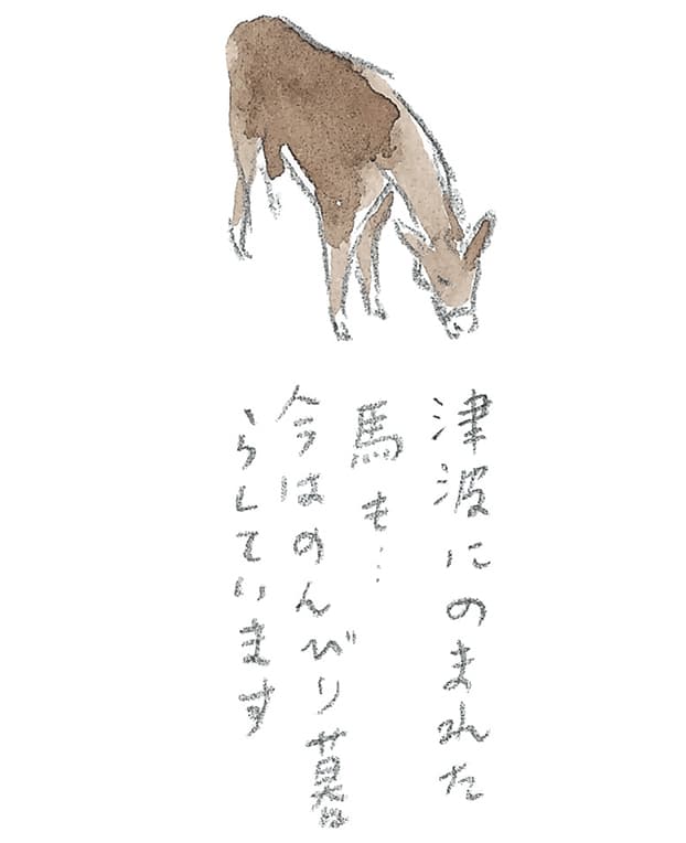 第4回 霧島で引退馬に出会う - 2/3
