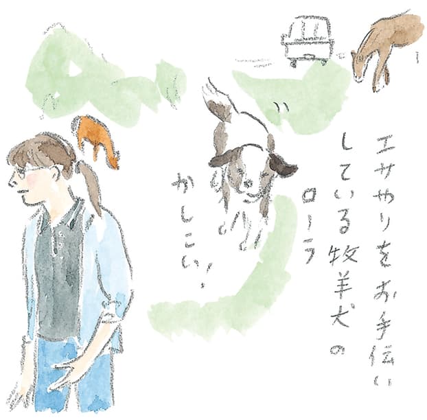 第4回 霧島で引退馬に出会う - 3/3